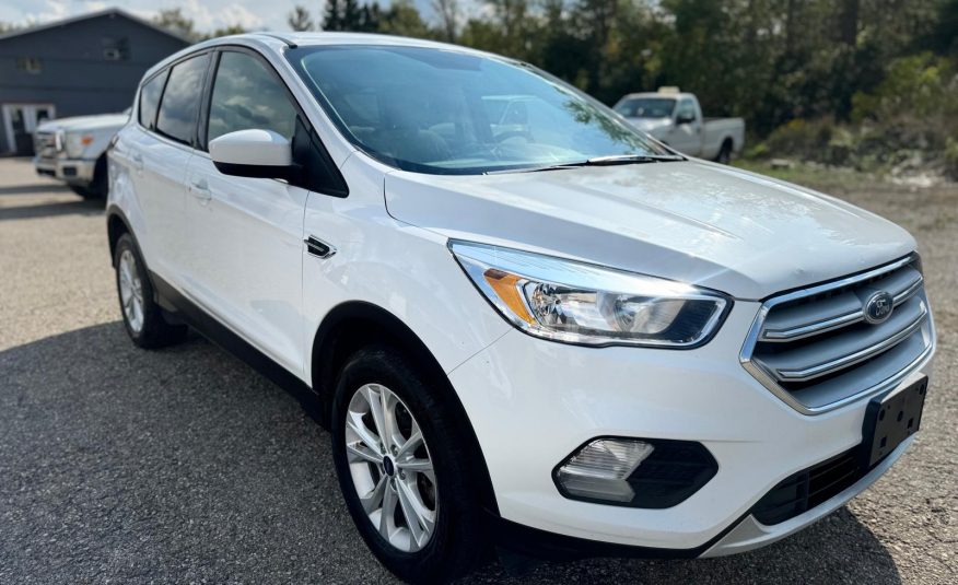 2019 Ford Escape SE AWD